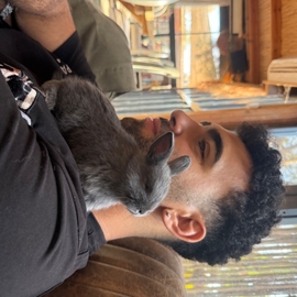 פדלוןתמיר