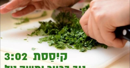 ניב ברייר ומשה טל - קיססת